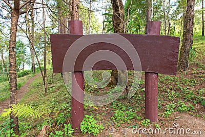 à¸Ÿwood sign or billboard for advertisement in a forest Stock Photo